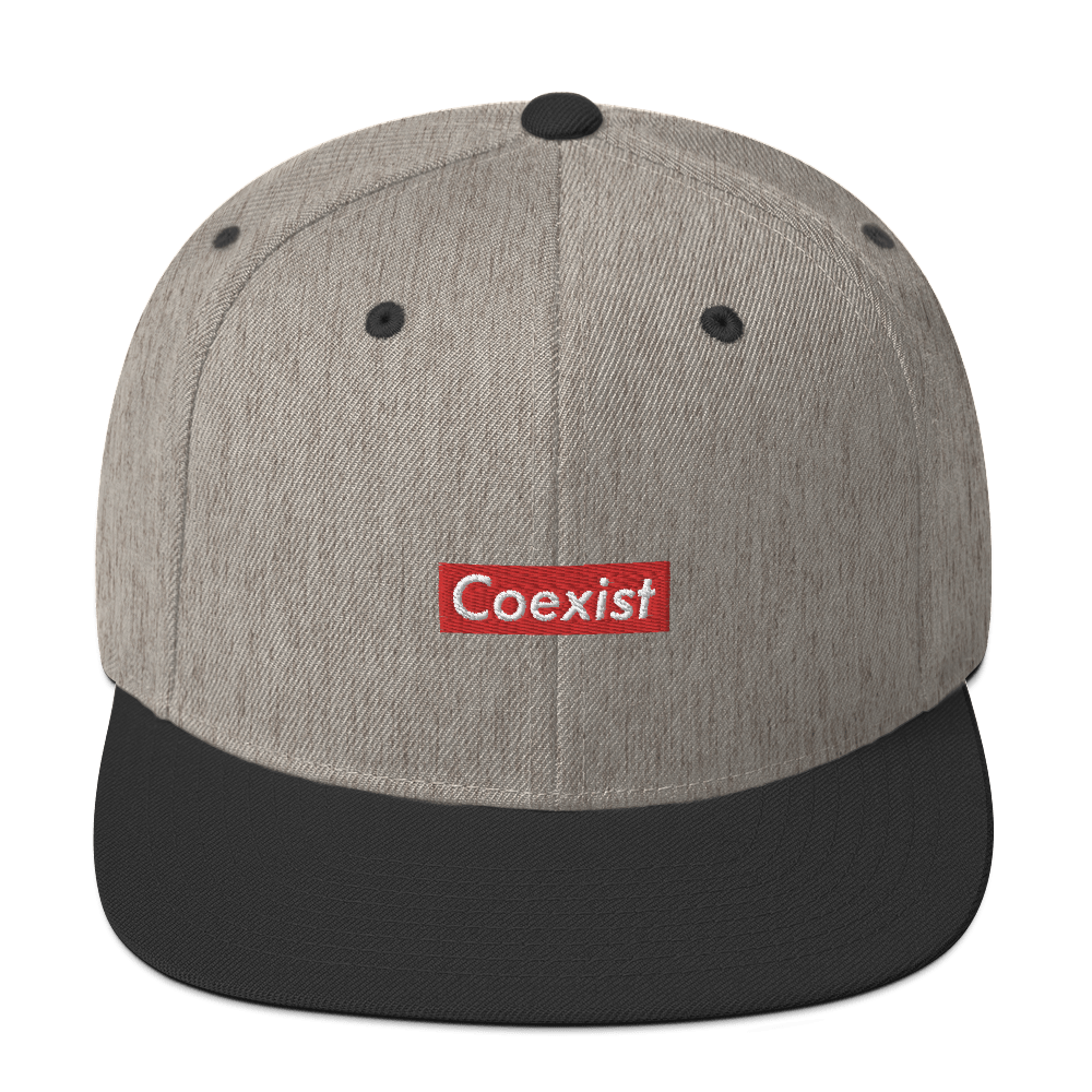 Coexist x Snapback Hat