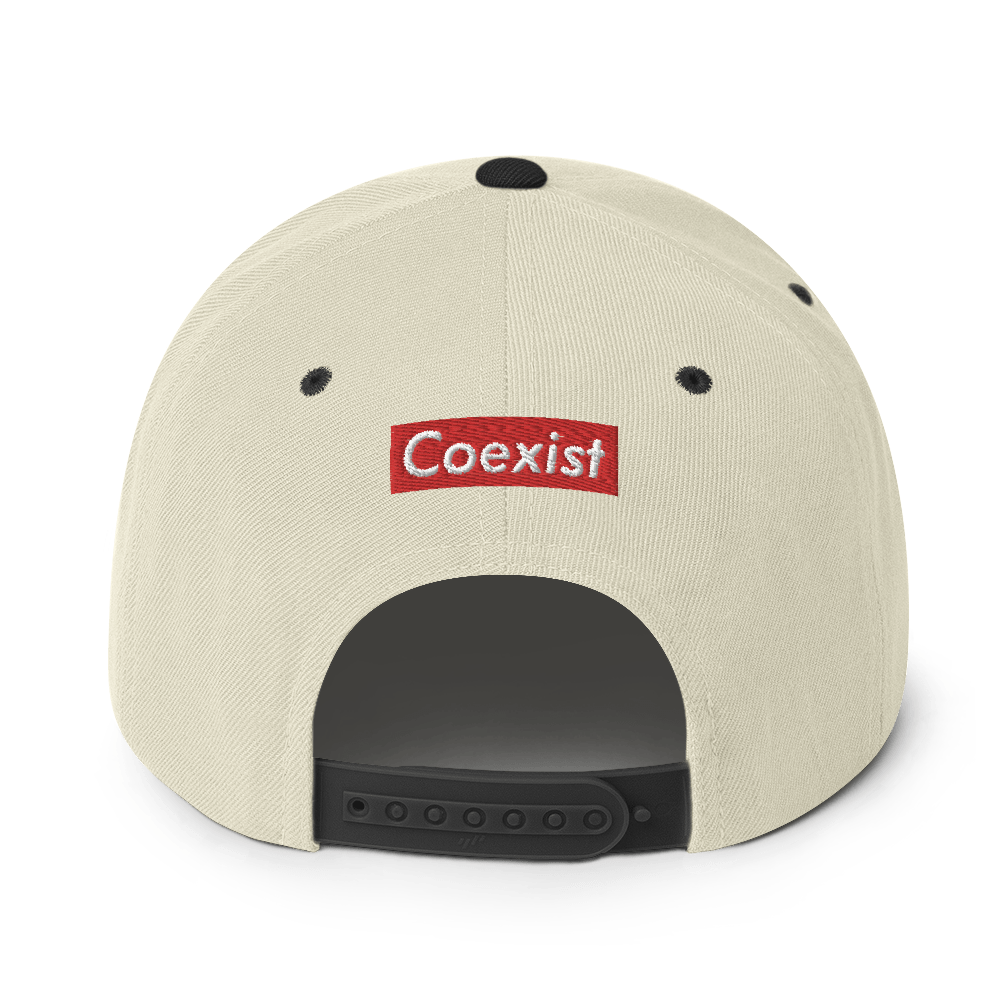 Coexist x Snapback Hat