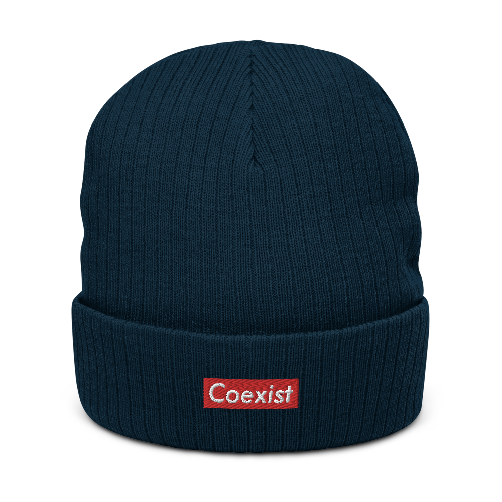 Coexist Recycled Beanie