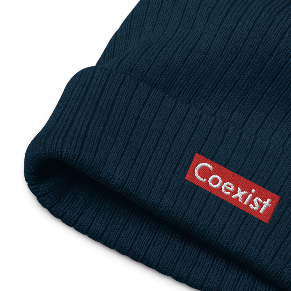 Coexist Recycled Beanie